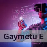 gaymetu e: The Rising Digital Trend Transforming Online Entertainment