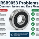 2RSB9053: The Hidden Code Explained