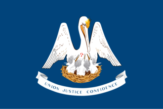 Louisiana Flag Guide: Colors, Symbols, and State Identity