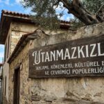 utanmazkzılar: Word Breakdown, Tone, and Online Usage Explanation