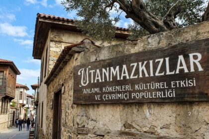 utanmazkzılar: Word Breakdown, Tone, and Online Usage Explanation