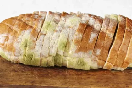 хлебен мухъл on Bread: How It Forms and How to Prevent It