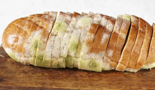 хлебен мухъл on Bread: How It Forms and How to Prevent It