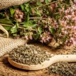 вранилова трава: Exploring its Nature and Significance