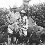 Elephant Rifle: A Look at Powerful Firearms and Big-Game Hunting