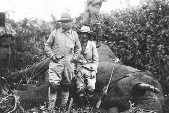 Elephant Rifle: A Look at Powerful Firearms and Big-Game Hunting