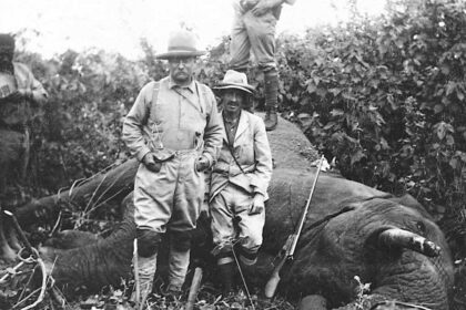 Elephant Rifle: A Look at Powerful Firearms and Big-Game Hunting