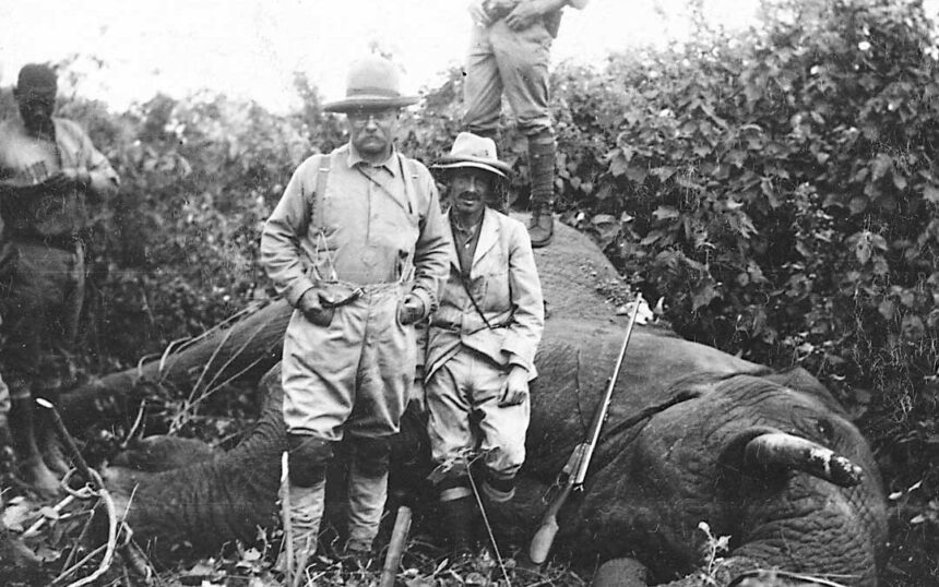 Elephant Rifle: A Look at Powerful Firearms and Big-Game Hunting