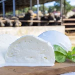Mozzarella Cheese Buffalo: An Expository Guide To Its Flavor, History, Benefits and Applications