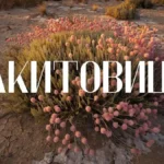 Exploring ракитовица: Definition, Background and Applications