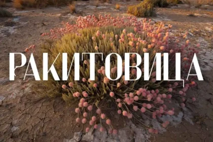 Exploring ракитовица: Definition, Background and Applications